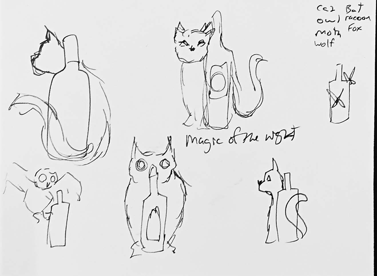 Sketches of wine bottles, owls, moths, and cats